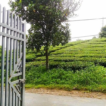 Homestay Moc Chau Kültér fotó