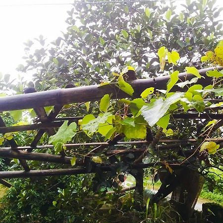 Homestay Moc Chau Kültér fotó