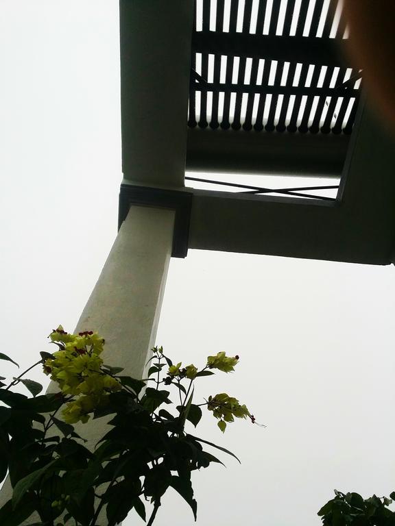 Homestay Moc Chau Kültér fotó