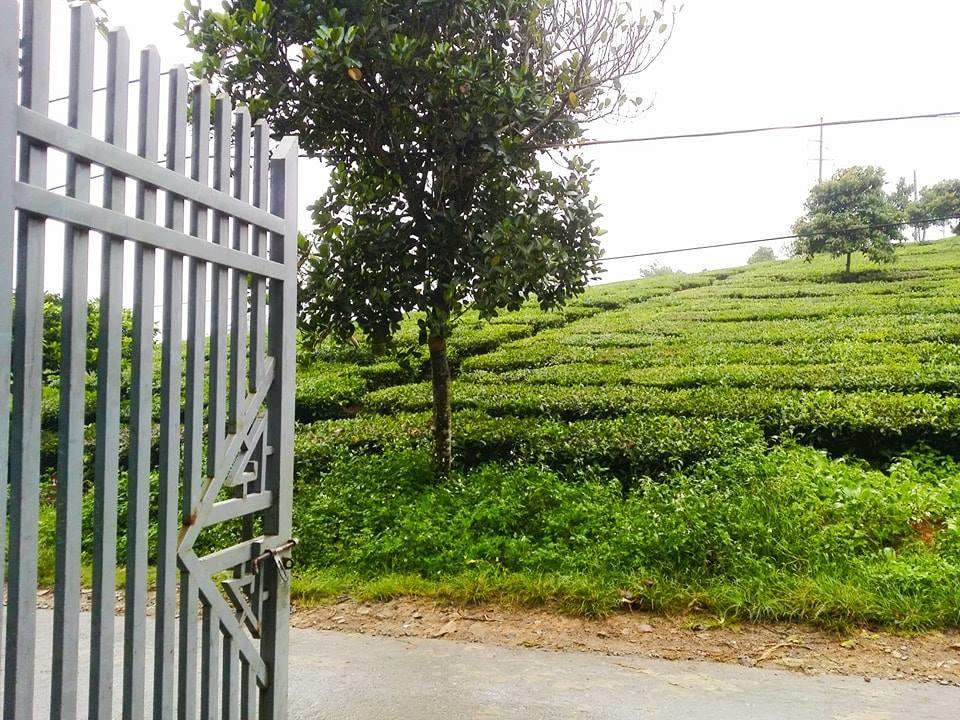Homestay Moc Chau Kültér fotó
